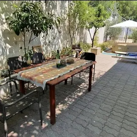 The Olive Tree *